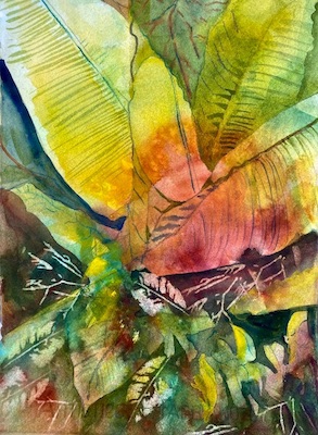 Florida Wild by Sue Kelman