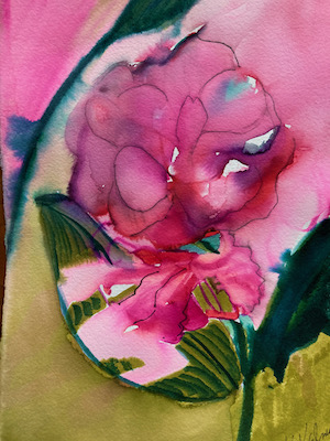 From The Pink One by Sue Kelman