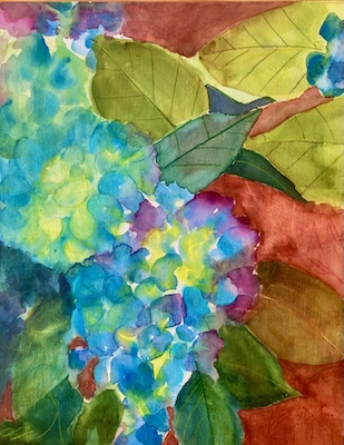 Hydrangea, 2025 by Sue Kelman