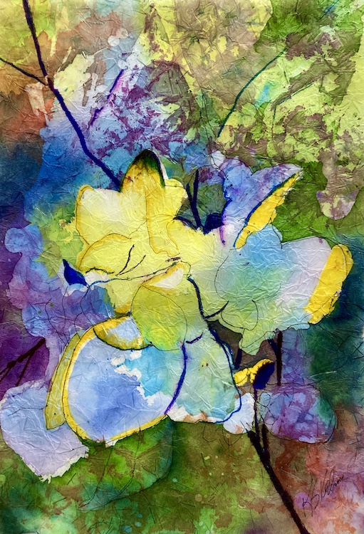 Hydrangea