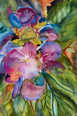 Hydrangea's Journey  1 by Sue Kelman