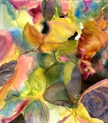 Hydrangea's Last Stand #1 by Sue Kelman