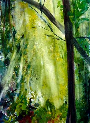 Magnolia Sunrise by Sue Kelman