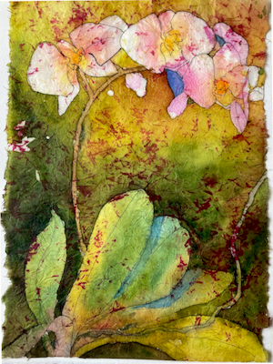 Orchid by Sue Kelman