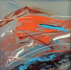 Save Our National Parks by Sue Kelman