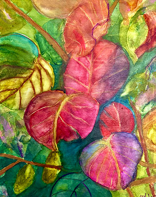 Sea Grapes by Sue Kelman