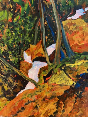 The Shapes of Glacier by Sue Kelman