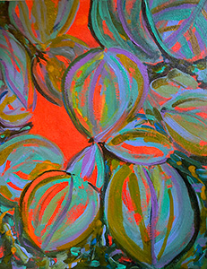 Watching the Sun Bake by Sue Kelman